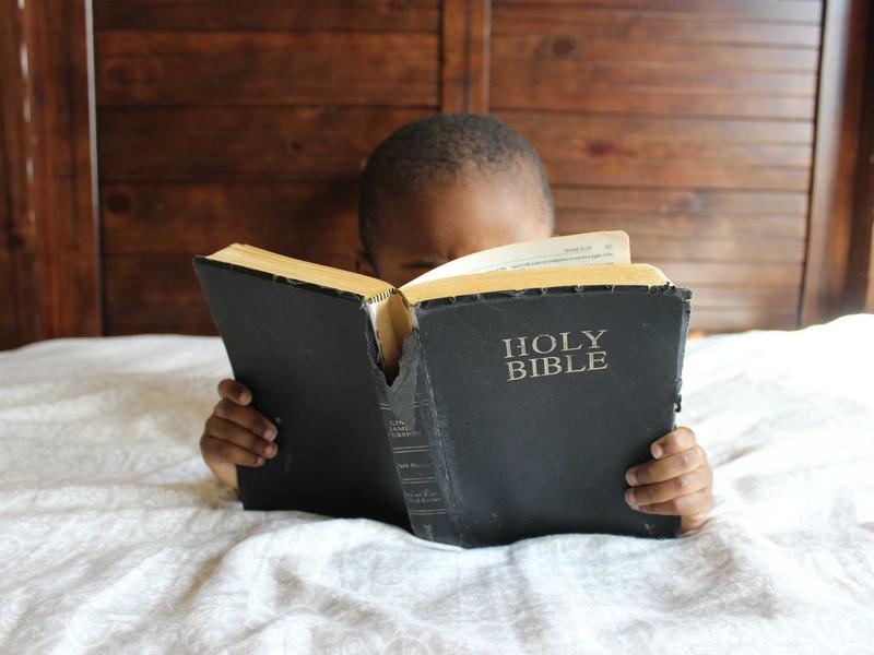 防钓盾牌<br>虚假代币与钓鱼链接拦截